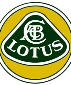 Lotus Elite parts classic car.